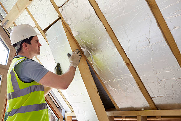 Best Insulation Installation Services in Wauchula, FL